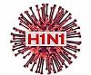 Конференция по вопросам профилактики, выявления и лечения вируса гриппа А (Н1N1)