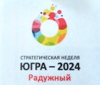 Стратегическая сессия «Югра -2024» прошла в Радужном